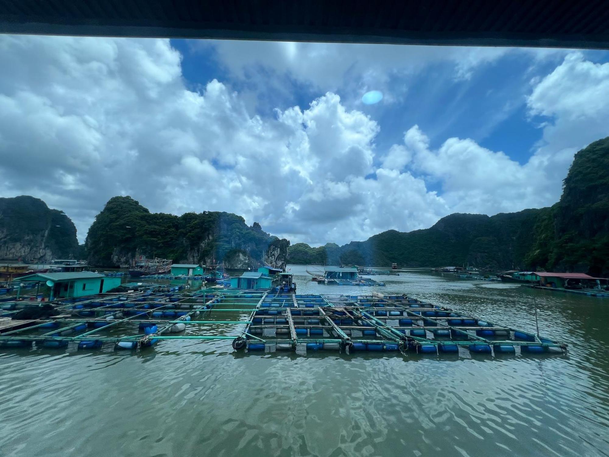 Mb Central Hotel Cat Ba Island Exterior foto