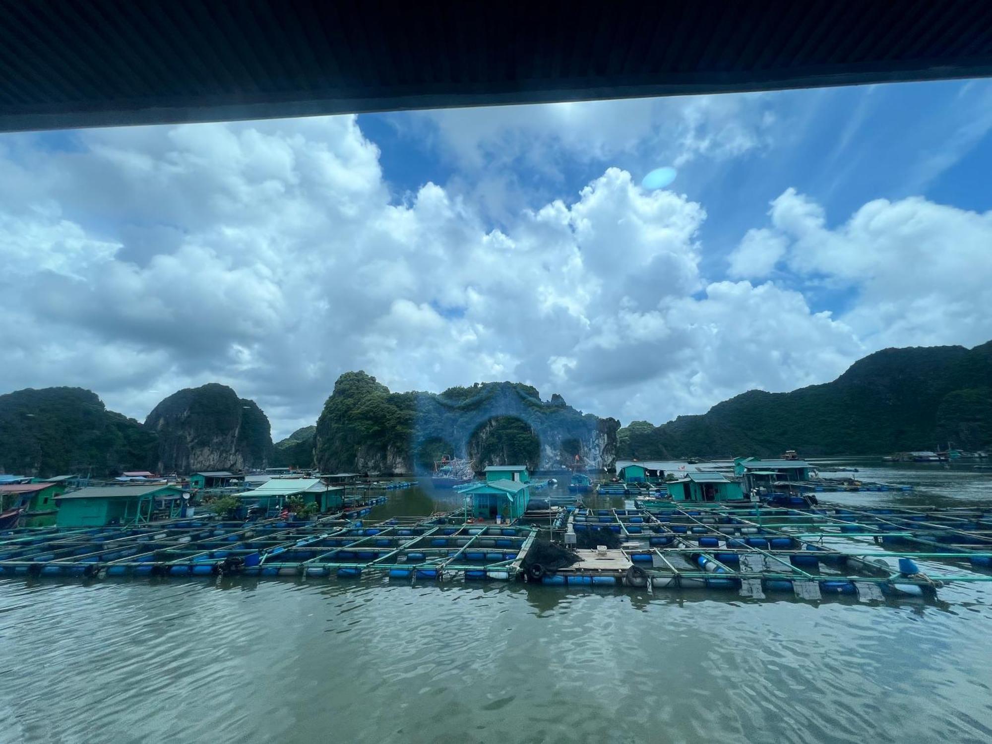 Mb Central Hotel Cat Ba Island Exterior foto